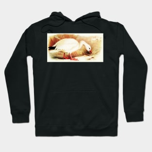 The Snow Goose Hoodie